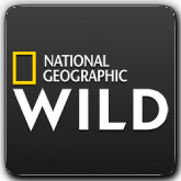 Nat Geo Wild HD IL