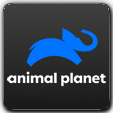 Animal Planet HD TR